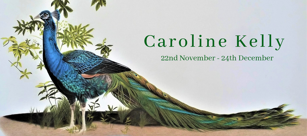Caroline Kelly: 22nd November - 24th December 2018