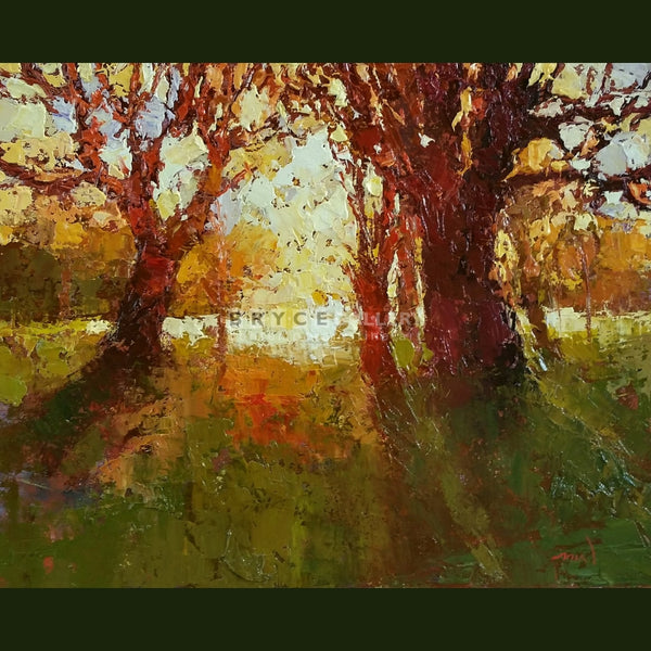 Gold Sunset Hagley Park Paintings
