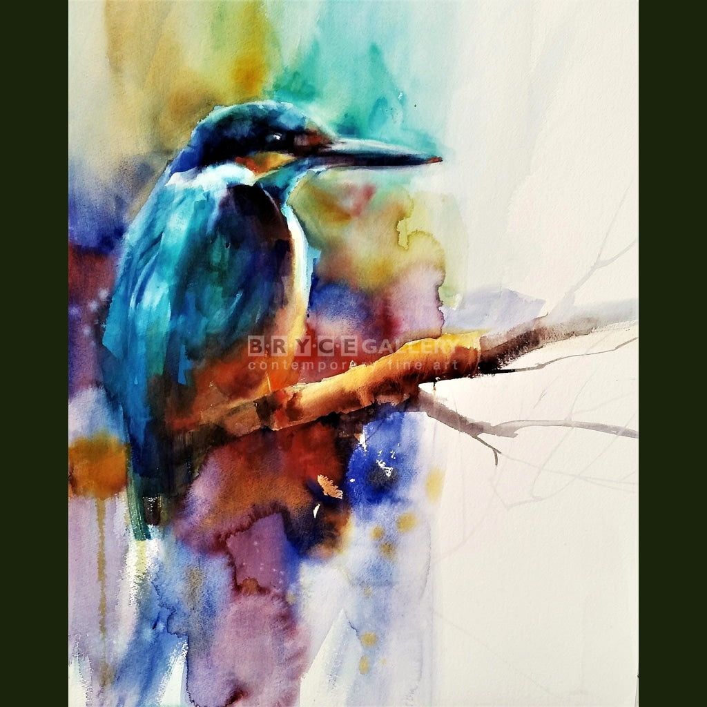 Kingfisher Ii Gicléés Prints