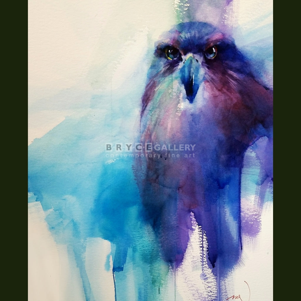 New Zealand Falcon Paintings
