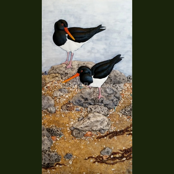 Oyster Catchers Paintings